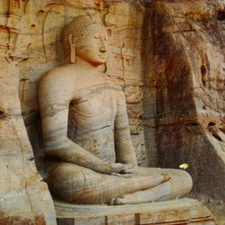 Lone Star Buddhist Meditation Center