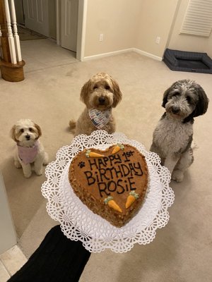 Three Dog Bakery by null