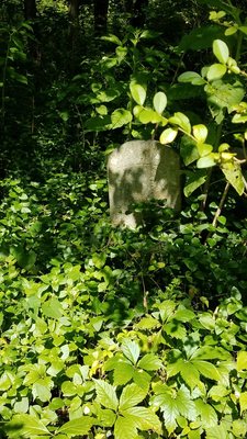 Evergreen Cemetery by null
