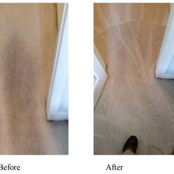 DB Carpet Care