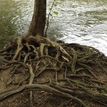 Holliday Park - Getting back to my "roots"! Ba dum chhhh - Parks Near Me - Indianapolis, Indiana