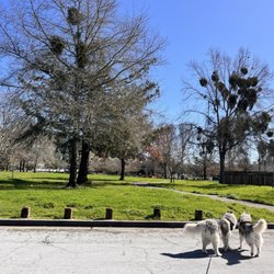 Rincon Valley Community Park - Walking up to the park
