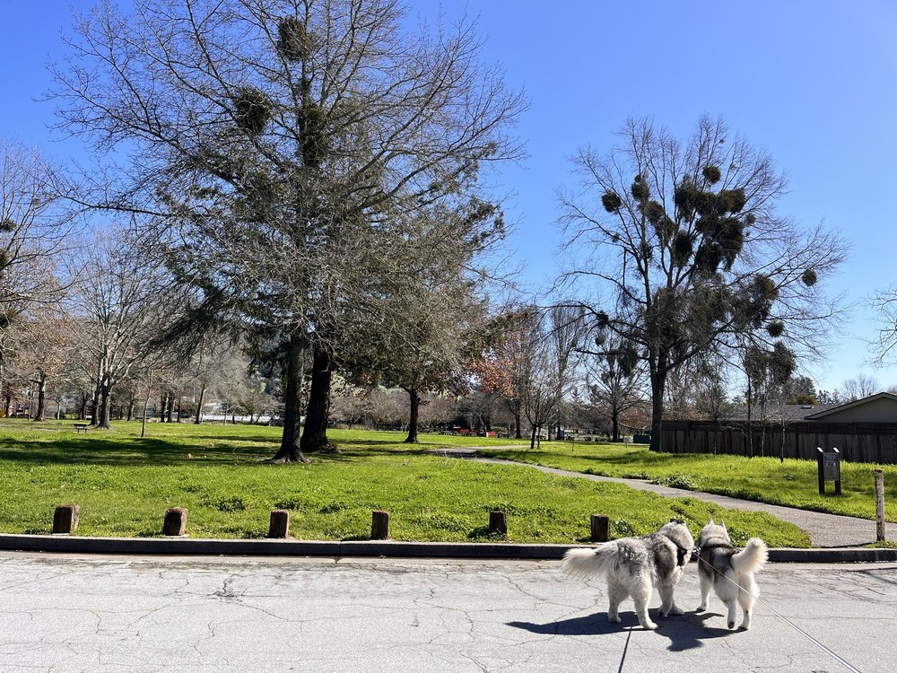 RINCON VALLEY COMMUNITY PARK Updated September 2024 19 Photos & 19