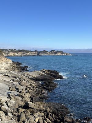 Gualala Point Regional Park by null