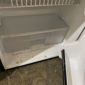 Quality Suites Burleson - Ft. Worth - The fridge and microwave were both filthy! This pic was taken when we arrived. - Hotels Near Me - Burleson, Texas Quality Suites Burleson - Ft. Worth - The fridge and microwave were both filthy! This pic was taken when we arrived. - Hotels Near Me - Burleson, Texas