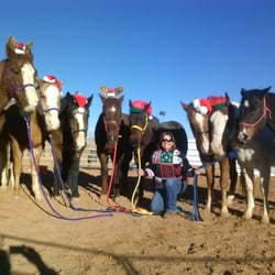 Loving Thunder Therapeutic Riding