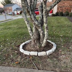 Stark's Lawn and Landscape - After