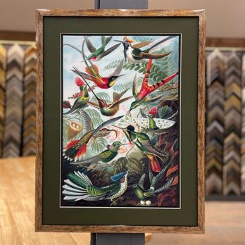 HTX Frames - Framing Near Me - Houston, Texas