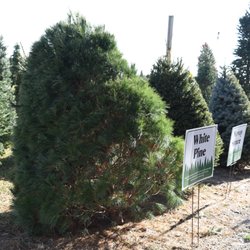 Cackler Farms - Tree Education Display