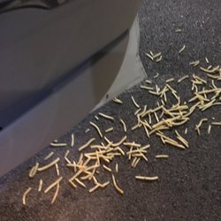 McDonald's - Two large undone fries