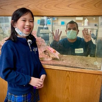 Orthodontic Excellence - Orthodontists Near Me - Newcastle, Washington Orthodontic Excellence - Orthodontists Near Me - Newcastle, Washington