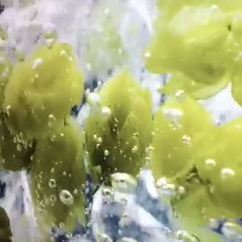 Guinness Storehouse - Video still of hops being boiled in slow motion. - Breweries Near Me - Dublin, D Guinness Storehouse - Video still of hops being boiled in slow motion. - Breweries Near Me - Dublin, D