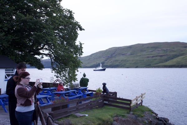 The Old Inn & Waterfront Bunkhouse by null