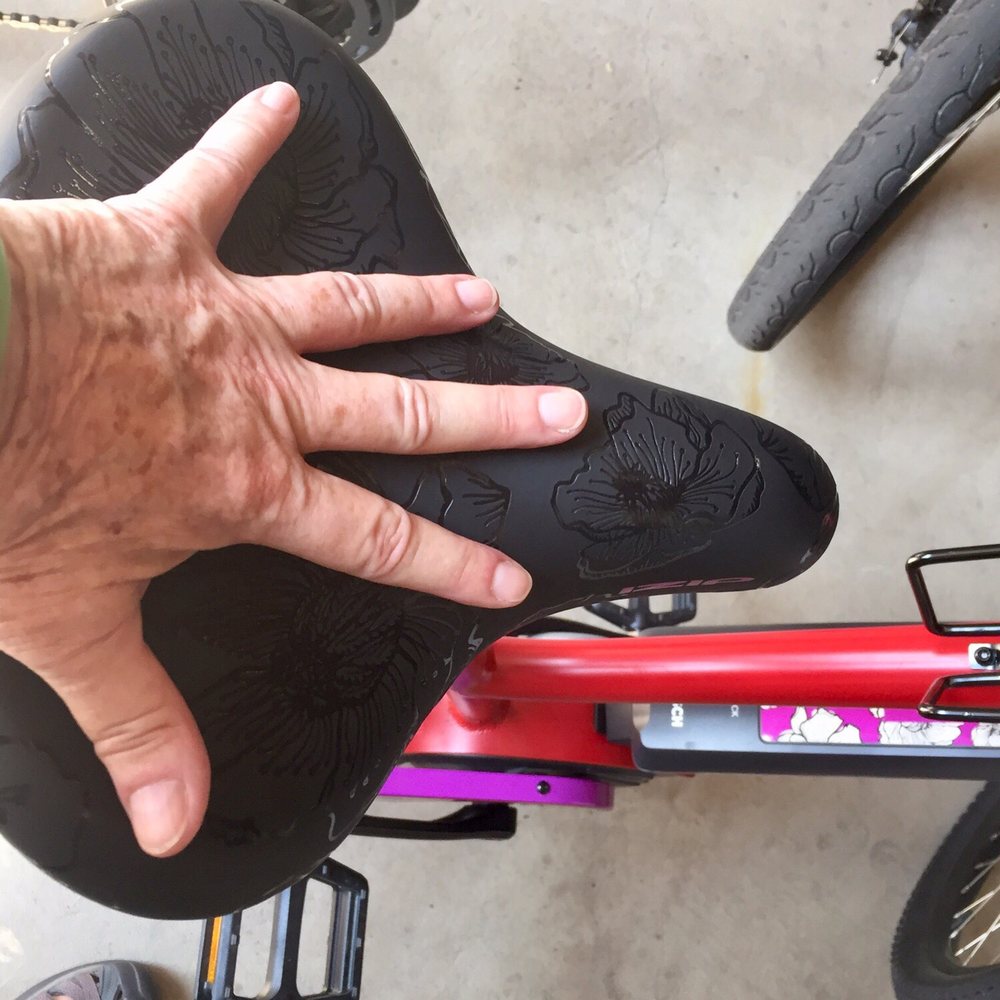 Big River LTD - Comfortable W-I-D-E seats!  So dang easy to ride! - Bike Rentals Near Me - Stillwater, Minnesota
