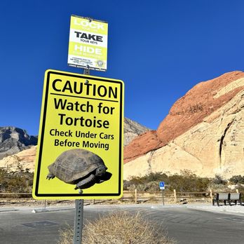 Pink Jeep Tours - Travel Services Near Me - Las Vegas, Nevada Pink Jeep Tours - Travel Services Near Me - Las Vegas, Nevada