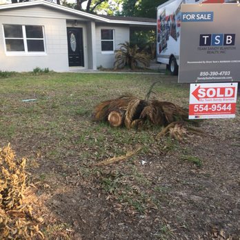Eager Beaver Professional Tree Care - They cut the palm in the front and just threw it off to the side. Didn't bother asking if they could cut it down! - Tree Services Near Me - Gulf Breeze, Florida Eager Beaver Professional Tree Care - They cut the palm in the front and just threw it off to the side. Didn't bother asking if they could cut it down! - Tree Services Near Me - Gulf Breeze, Florida