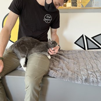 Purr Cup Cafe - Coffee & Tea Near Me - Raleigh, North Carolina