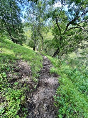 Briones Regional Park by null