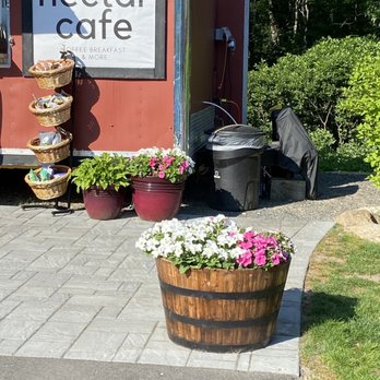 Nectar Cafe - The image shows a display of flower pots and baskets outside Nectar Cafe, a mobile food truck with outdoor seating. There are two large flower pots with pink and white flowers, and a basket stand with snack items. A sign with the cafe's name is visible, along with a trash bin and some equipment. The background includes trees and bushes, indicating an outdoor setting. - Coffee & Tea Near Me - York, Maine