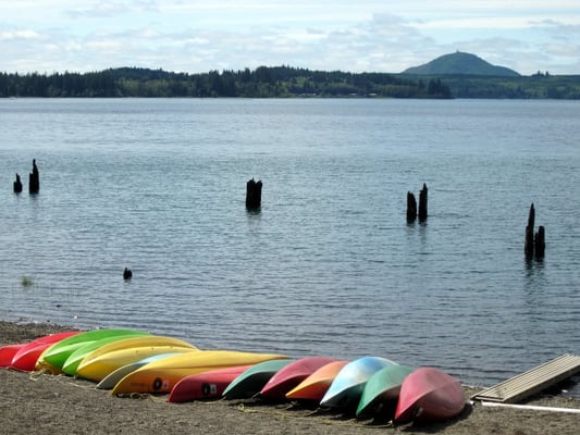 Lake Quinault Lodge by null