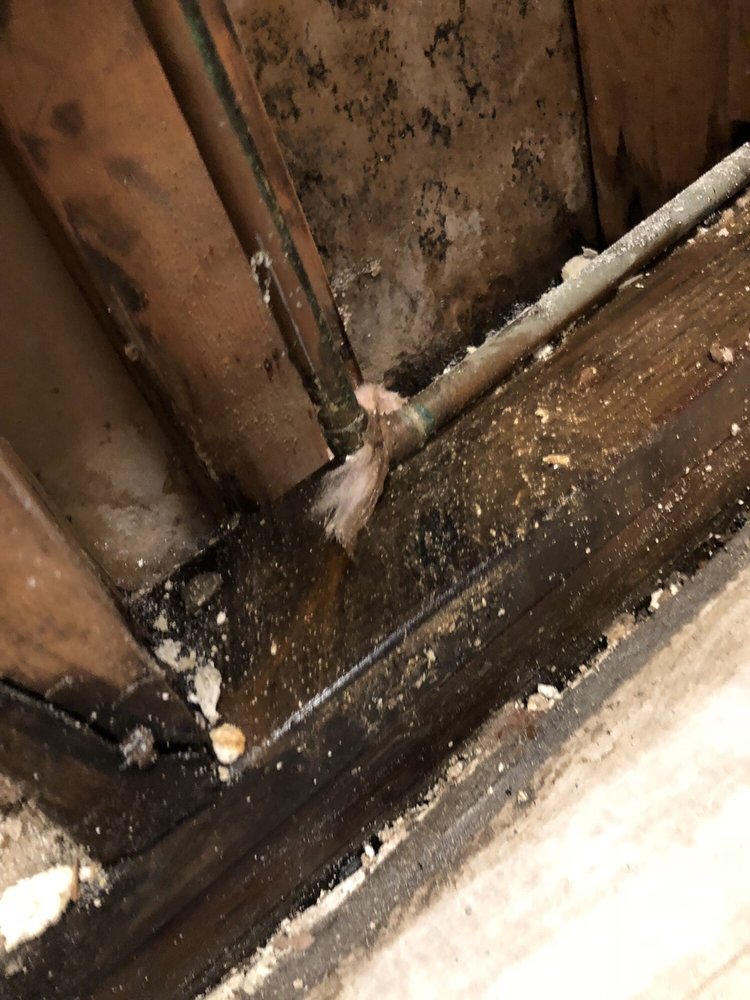 Slide of Starr Renovations