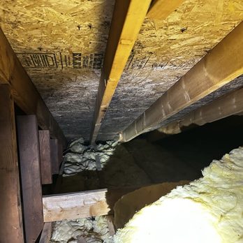 Visual Pro Home Inspections - More attic mold - Home Inspectors Near Me - Troy, Michigan Visual Pro Home Inspections - More attic mold - Home Inspectors Near Me - Troy, Michigan