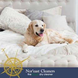 Nor'east Cleaners