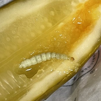Jimmy John's - Pickle Worm - Sandwiches Near Me - Mobile, Alabama