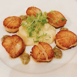 Aretsky's Patroon - Scallops