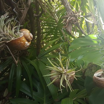 The Sacred Space - Snail shell planters. So cute. - Art Galleries Near Me - Summerland, California The Sacred Space - Snail shell planters. So cute. - Art Galleries Near Me - Summerland, California