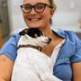 Photo of College Park Pet Wellness Clinic