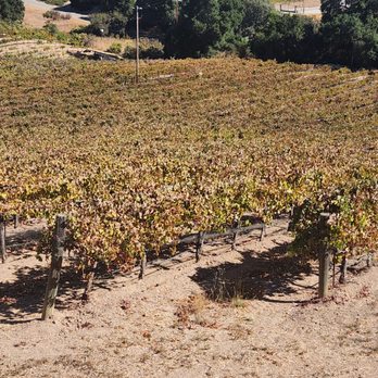 Ecluse Wines - Wineries Near Me - Paso Robles, California