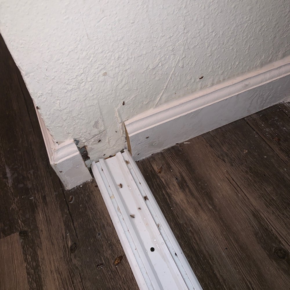 Pointe at Northridge - Coming from the cracks in the floor! - Apartments Near Me - Salinas, California Pointe at Northridge - Coming from the cracks in the floor! - Apartments Near Me - Salinas, California