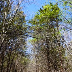 Froehlich Farm Nature Preserve
