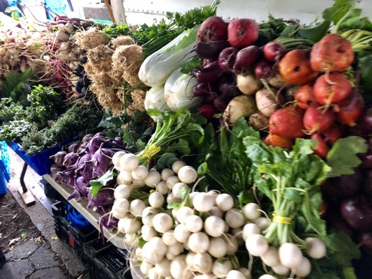 Tompkins Square Park Greenmarket by null