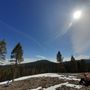 Photo of Shadow Pines Loop Trail