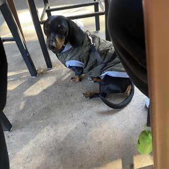Brahma Bar and Grill - Dog friendly patio - New American Near Me - Fair Oaks, California