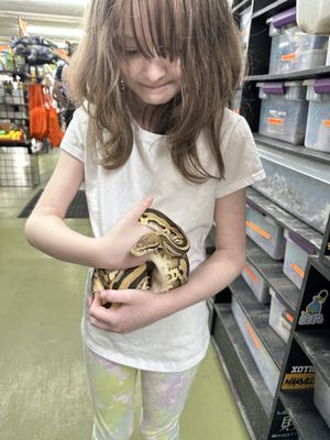 5280 Reptile Room - West