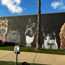 Chula Vista Animal Care Facility