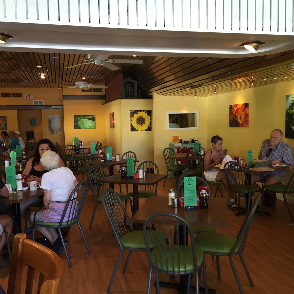 Toasted Mango Cafe - Cafes Near Me - Sarasota, Florida Toasted Mango Cafe - Cafes Near Me - Sarasota, Florida
