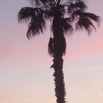 333 Pacific - The evening view from the patio - Steakhouses Near Me - Oceanside, California