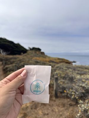 Cambria Beach Lodge by null