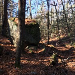 Plaistow Town Forrest - Boulders!