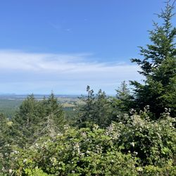 Mt. Grant Preserve - Summit
