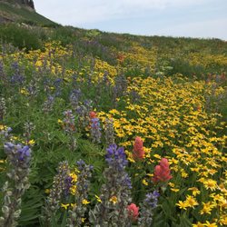Mount Timpanogos - The Timpooneke Trail