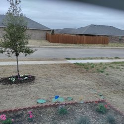 Milliken's Irrigation and Lawn Maintenance - You can see our yard a few weeks after being sprayed for weeds and our neighbors yard to the right who has not been sprayed.