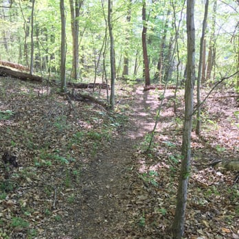 Crow's Nest Natural Area Preserve - Trail - Parks Near Me - Stafford, Virginia Crow's Nest Natural Area Preserve - Trail - Parks Near Me - Stafford, Virginia