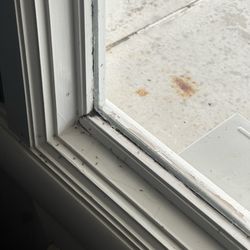 Bay Inn of Petoskey - Bugs