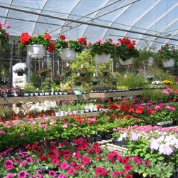 Sun's Garden & Landscaping