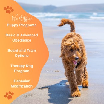Off Leash K9 Training - Pet Training Near Me - North Myrtle Beach, South Carolina Off Leash K9 Training - Pet Training Near Me - North Myrtle Beach, South Carolina